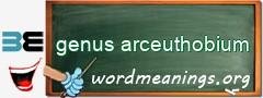 WordMeaning blackboard for genus arceuthobium